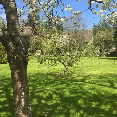 Oasis Aparthotel