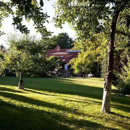 Oasis & Реваль