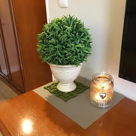 Апарт-отель Oasis &