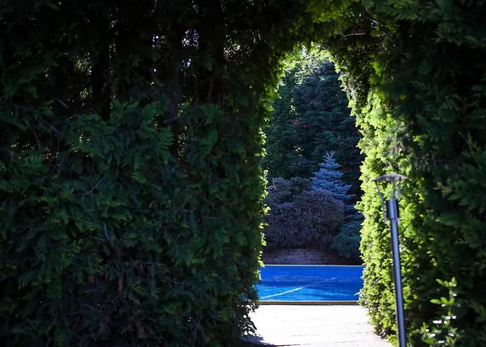 아파트호텔 Oasis & 레왈